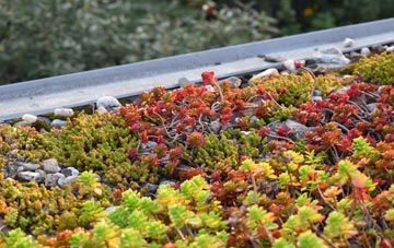 the cost of Lansallos green roof installation